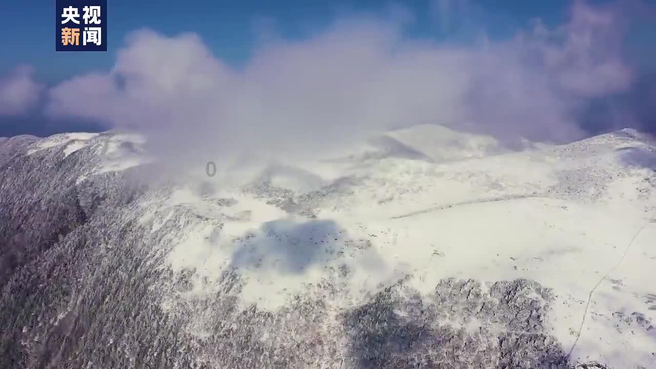 许冠文早年加入无线电视,被人称作喜剧之王,才能非常全面